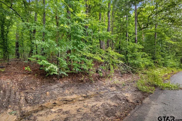 $299,000 | Lot 31 Oakbrook Road, Tyler, TX 75703