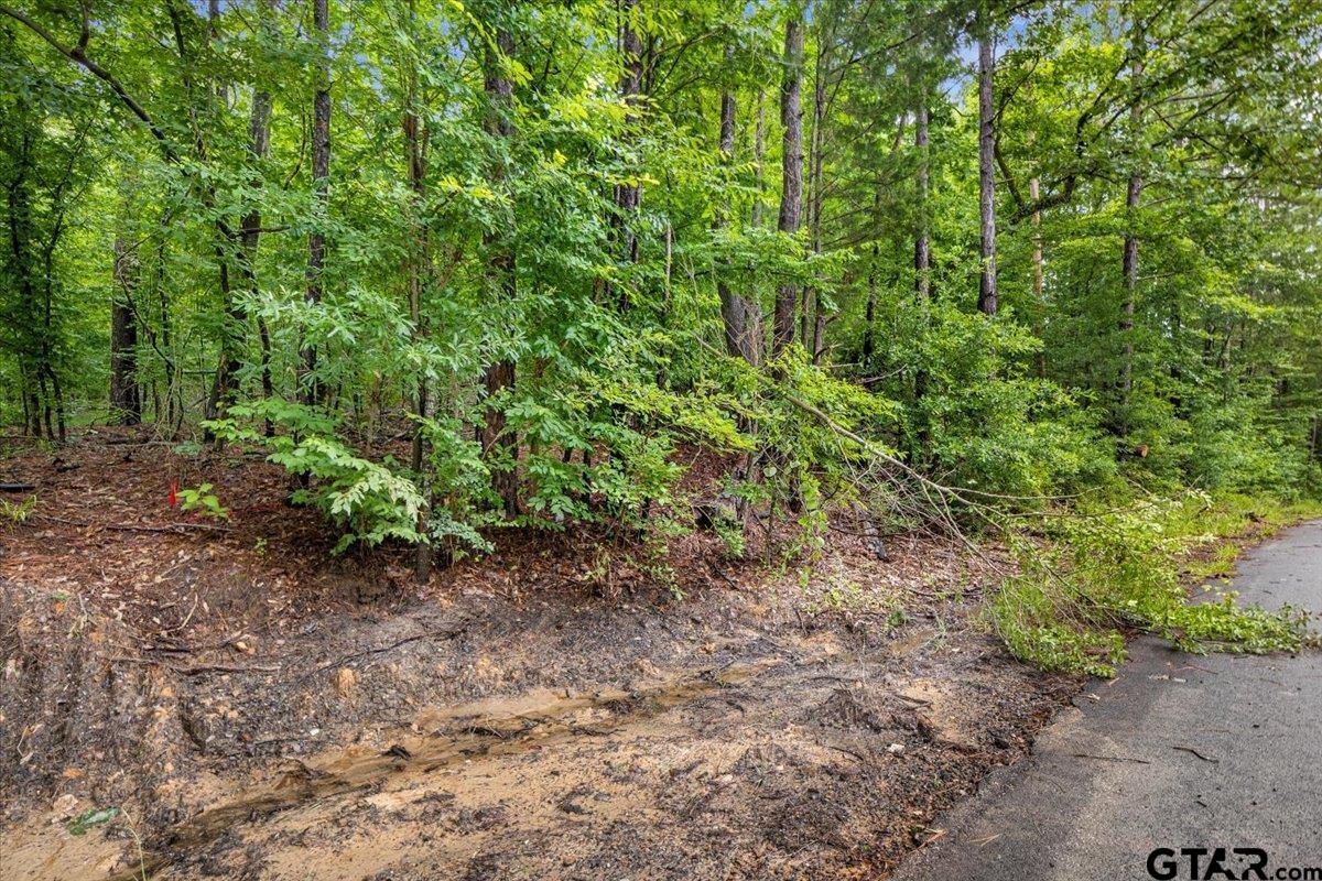 Lot 31 Oakbrook Road Tyler, TX 75703 - Photo 9 of 9