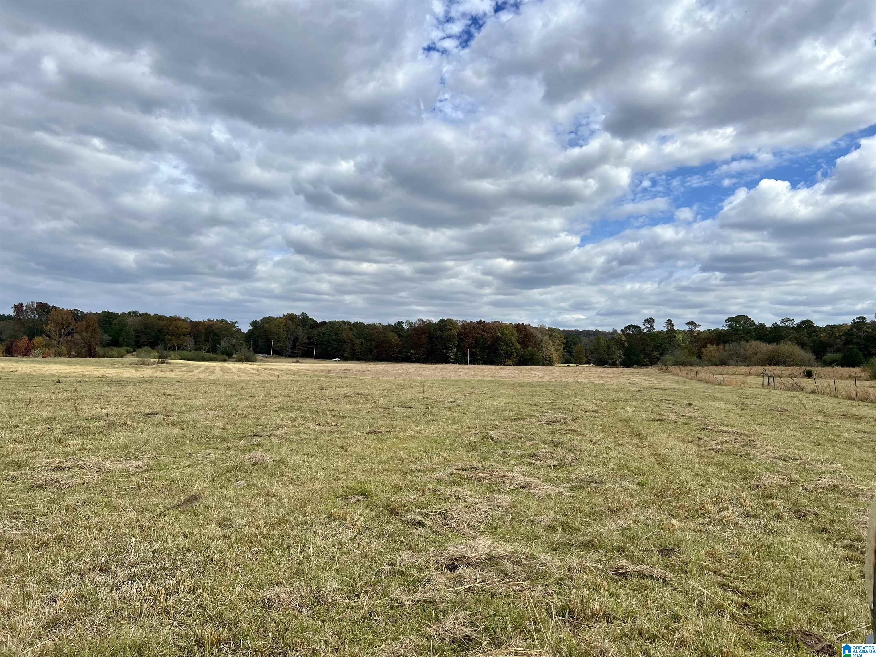 0 Rock Springs Road, Unit 52 24 Warrior, AL 35180 - Photo 22 of 39