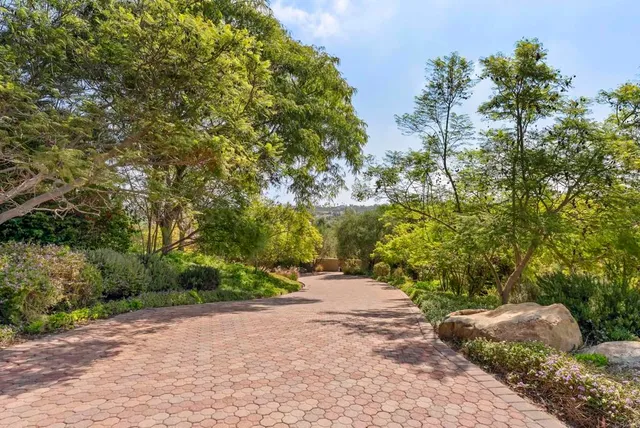 a view of a backyard with trees