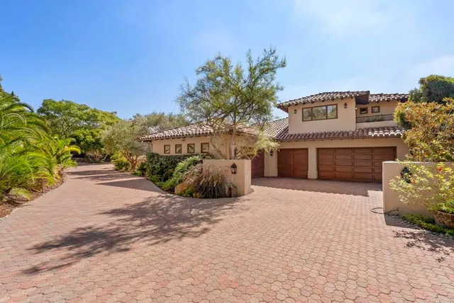 a view of a yard with plants and trees