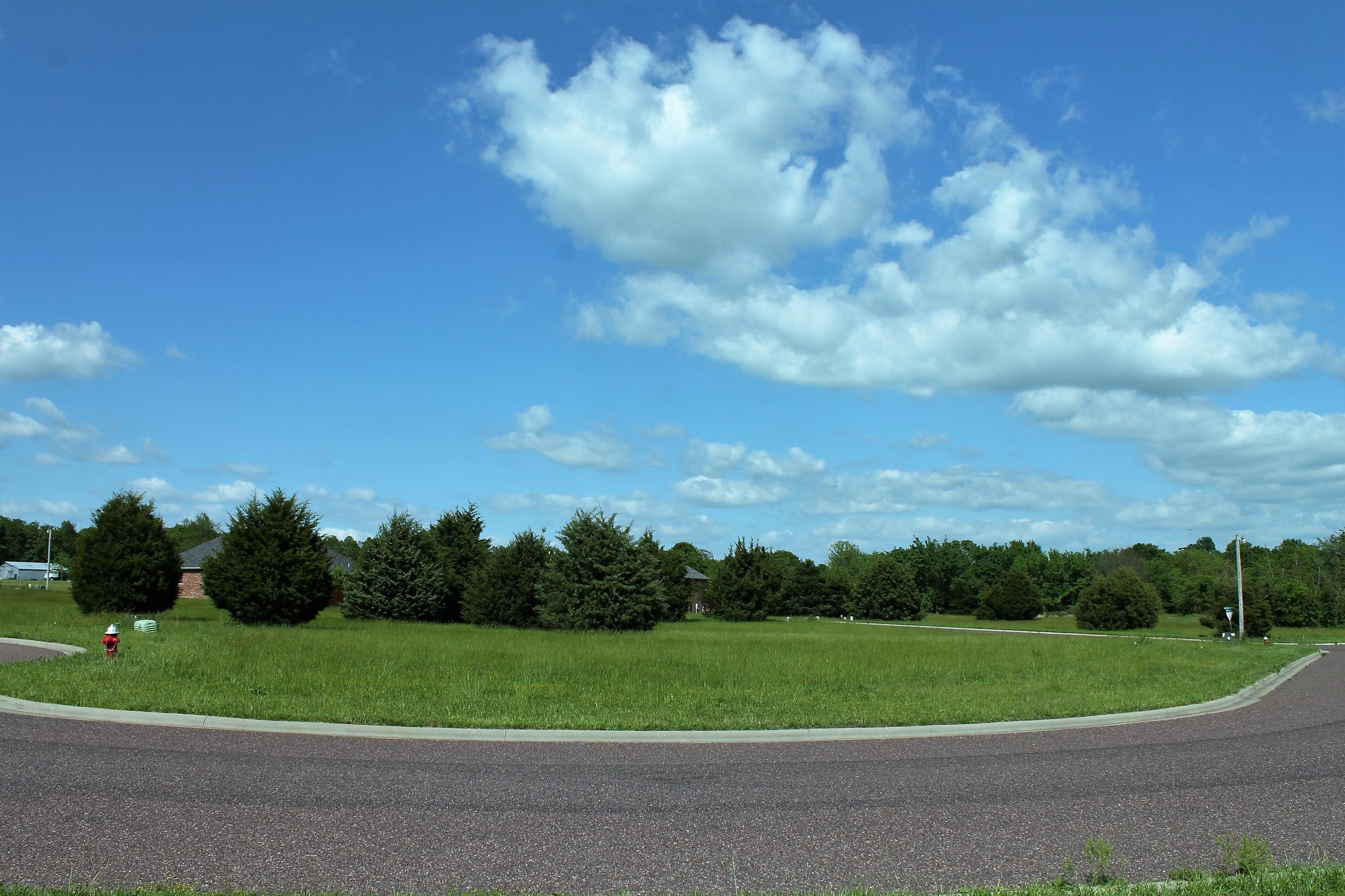 Tbd Tbd Lane Monett, MO 65708 - Photo 1 of 1 IMG_6506
