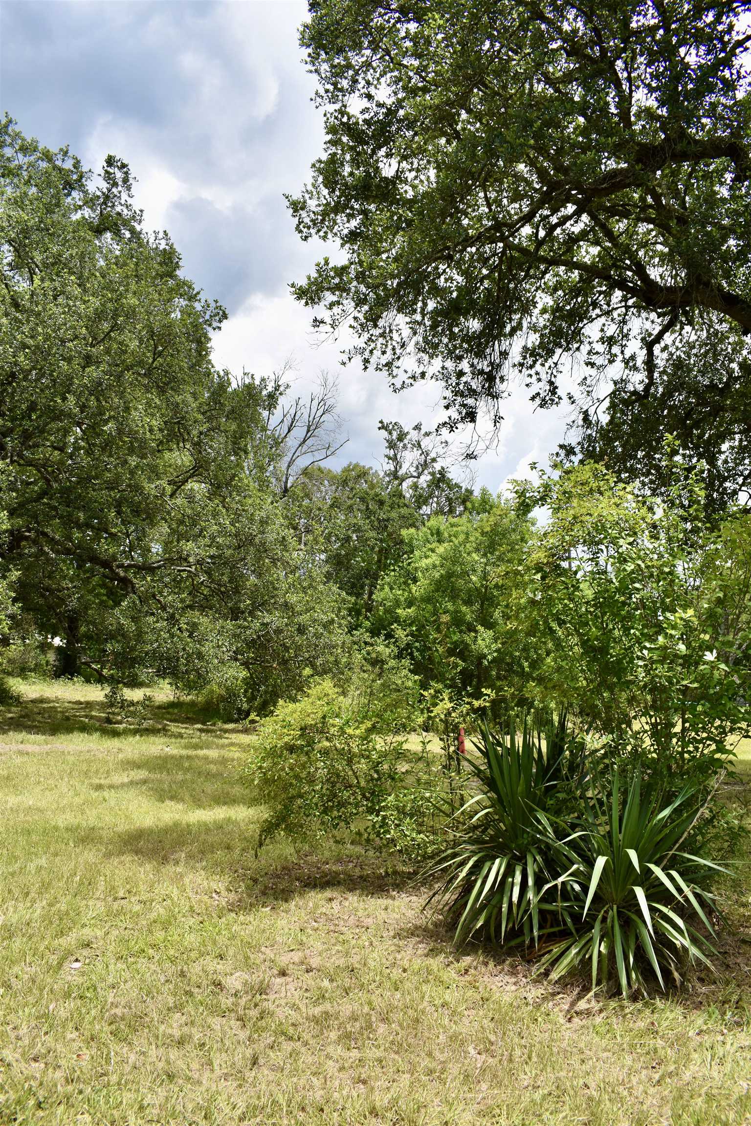325 Goss Road Orange, TX 77632 - Photo 8 of 32