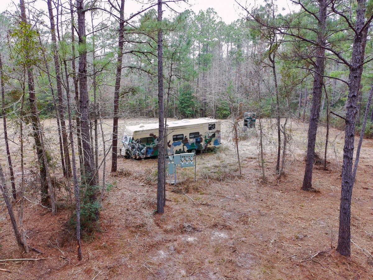 209 Joskey Dykes Road Zavalla, TX 75980 - Photo 4 of 11 a view of a yard with a tree