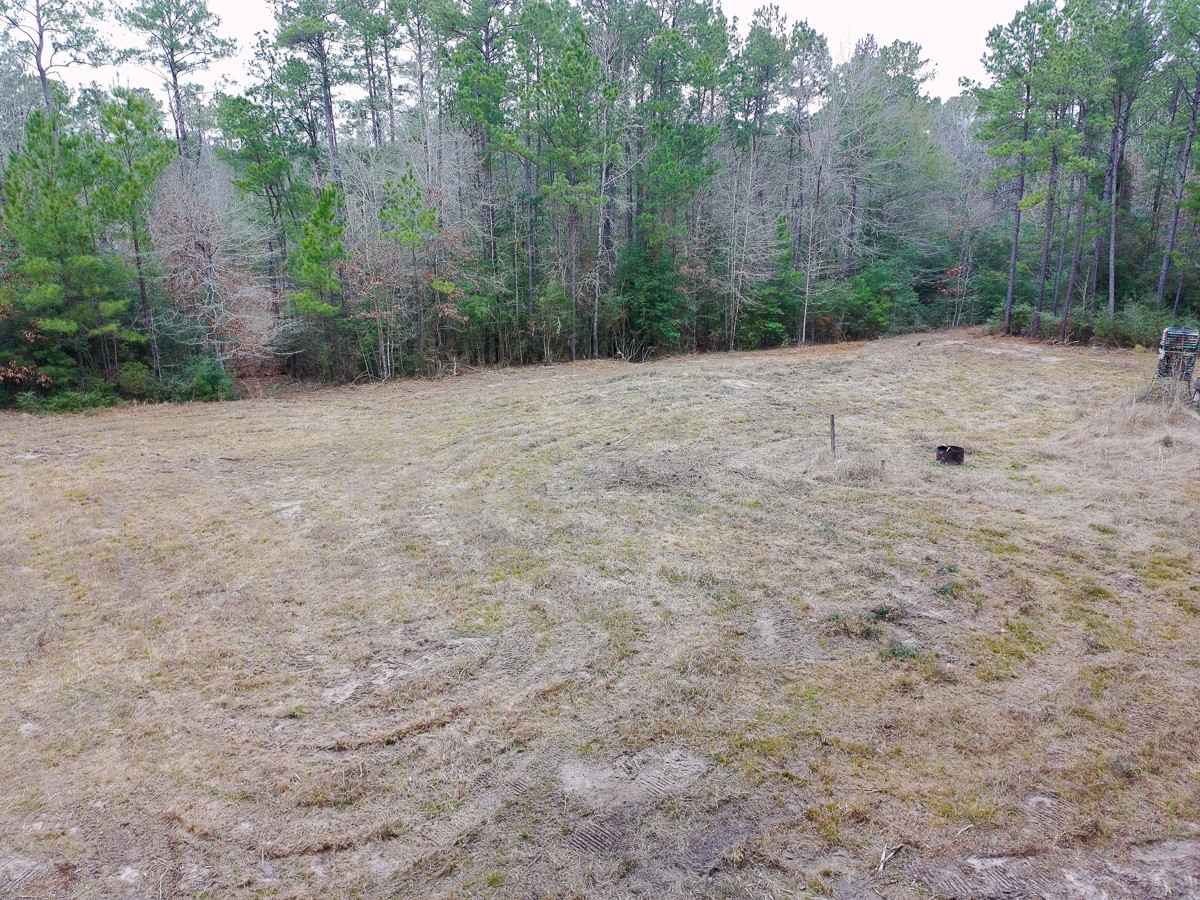 209 Joskey Dykes Road Zavalla, TX 75980 - Photo 6 of 11 a backyard of a house with lots of green space