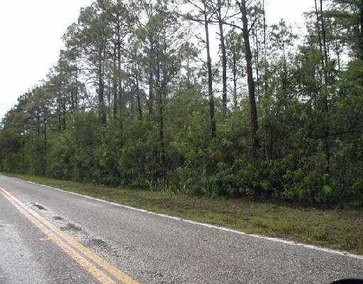 A206 Randolph Siding Road Jupiter, FL 33478 - Photo 5 of 5 Additional Photo