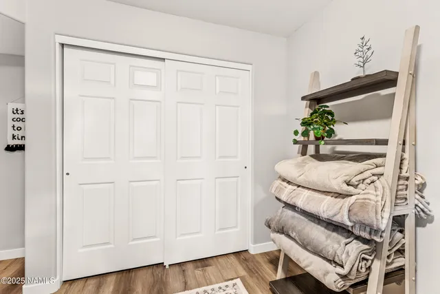 a living room with a bed and a potted plant