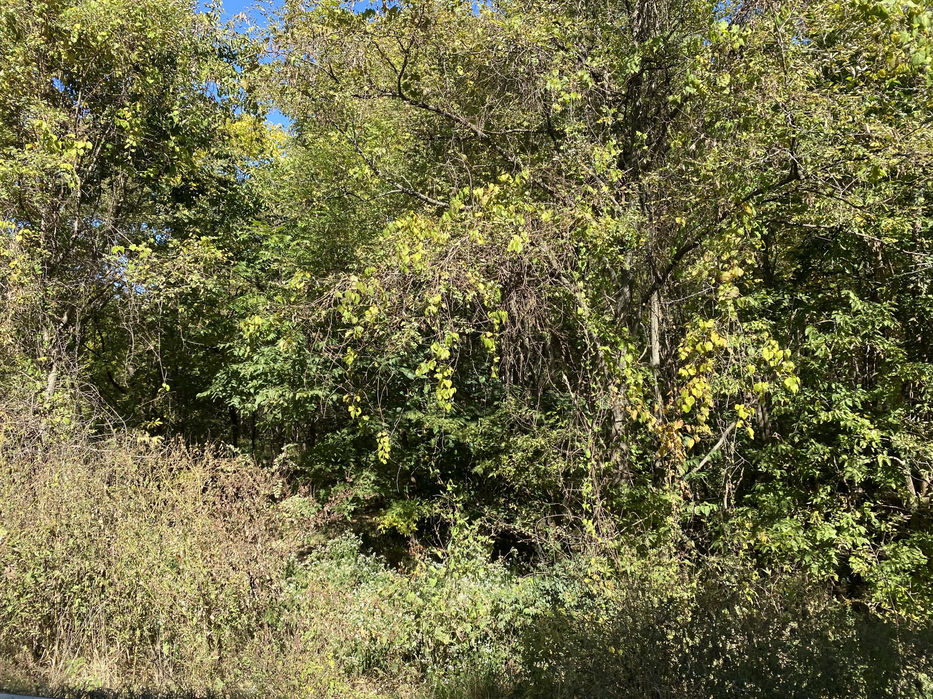 13925 Lebanon Road Danville, KY 40422 - Photo 13 of 17 5AB251AE-75F2-4DA0-8515-5314E734C07D