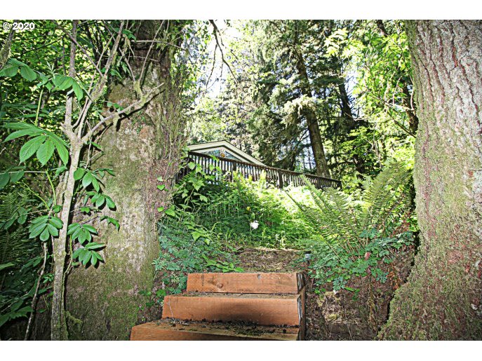 10207 Ridgeview Terrace Birkenfeld, OR 97016 - Photo 25 of 32 Gallery Image 25