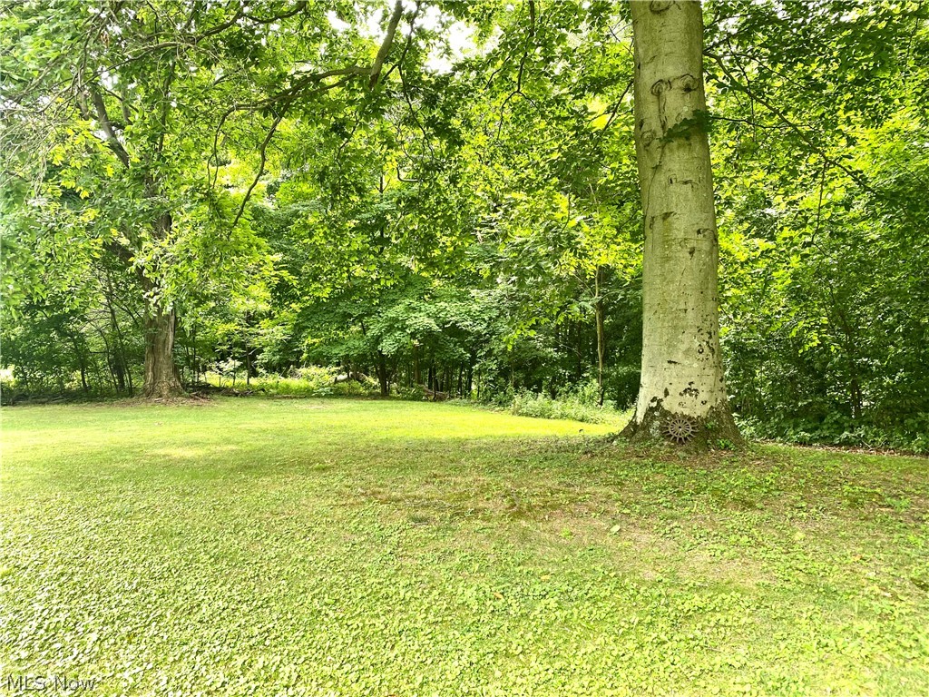2545 Schellin Road Wooster, OH 44691 - Photo 31 of 33 Gallery Image 31
