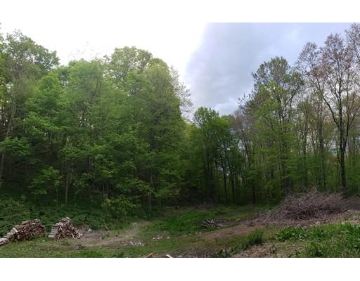 3 Sodom Mountain Road Southwick, MA 01077 - Photo 3 of 29 Gallery Image 3