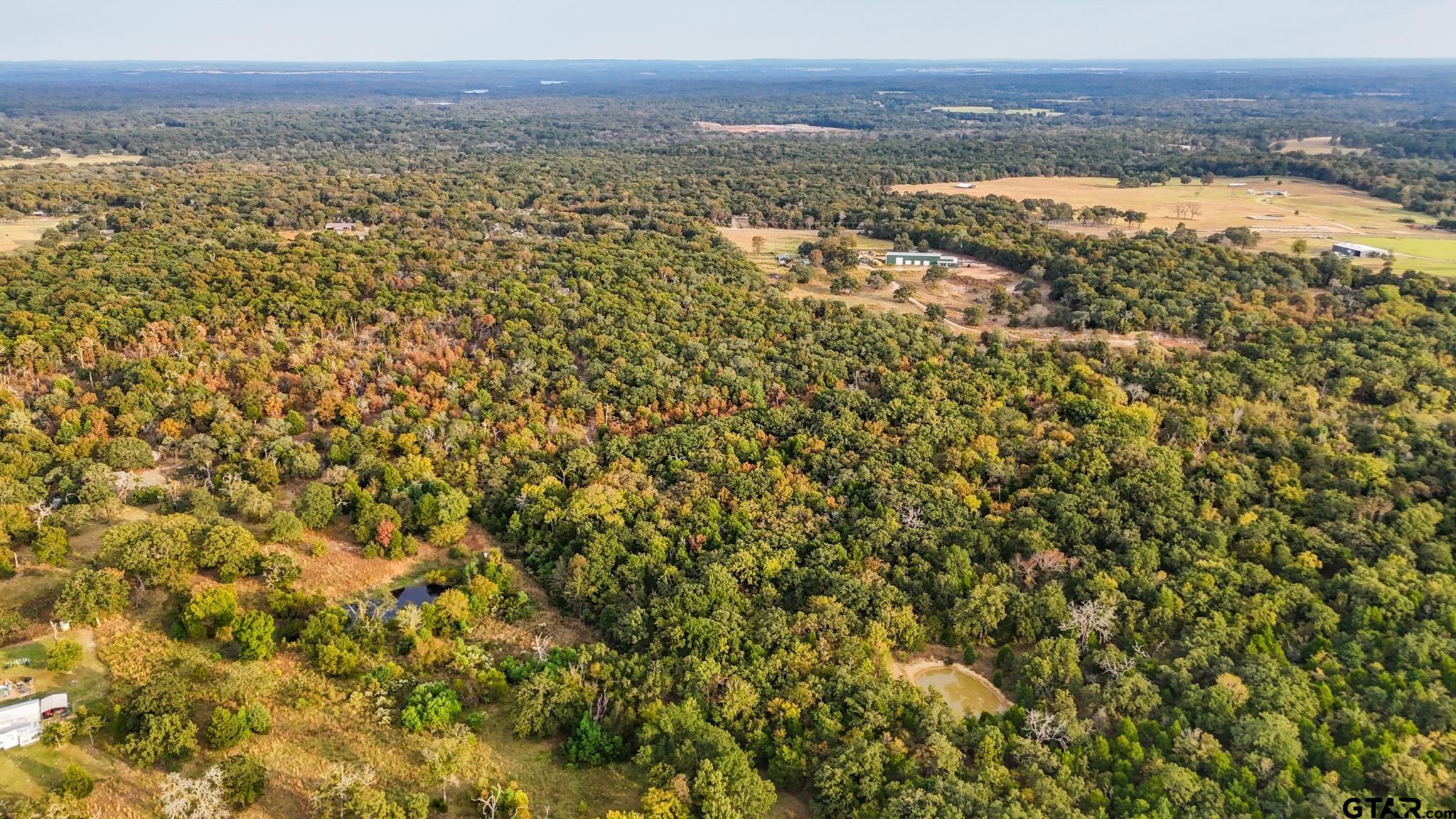 59 Athens Tx 75751 Athens, TX 75751 - Photo 9 of 10