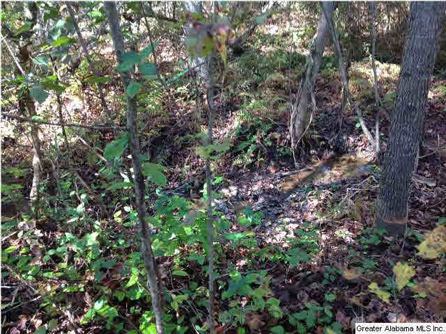 0 County Road 229, Unit 22 AC Fruithurst, AL 36262 - Photo 8 of 12