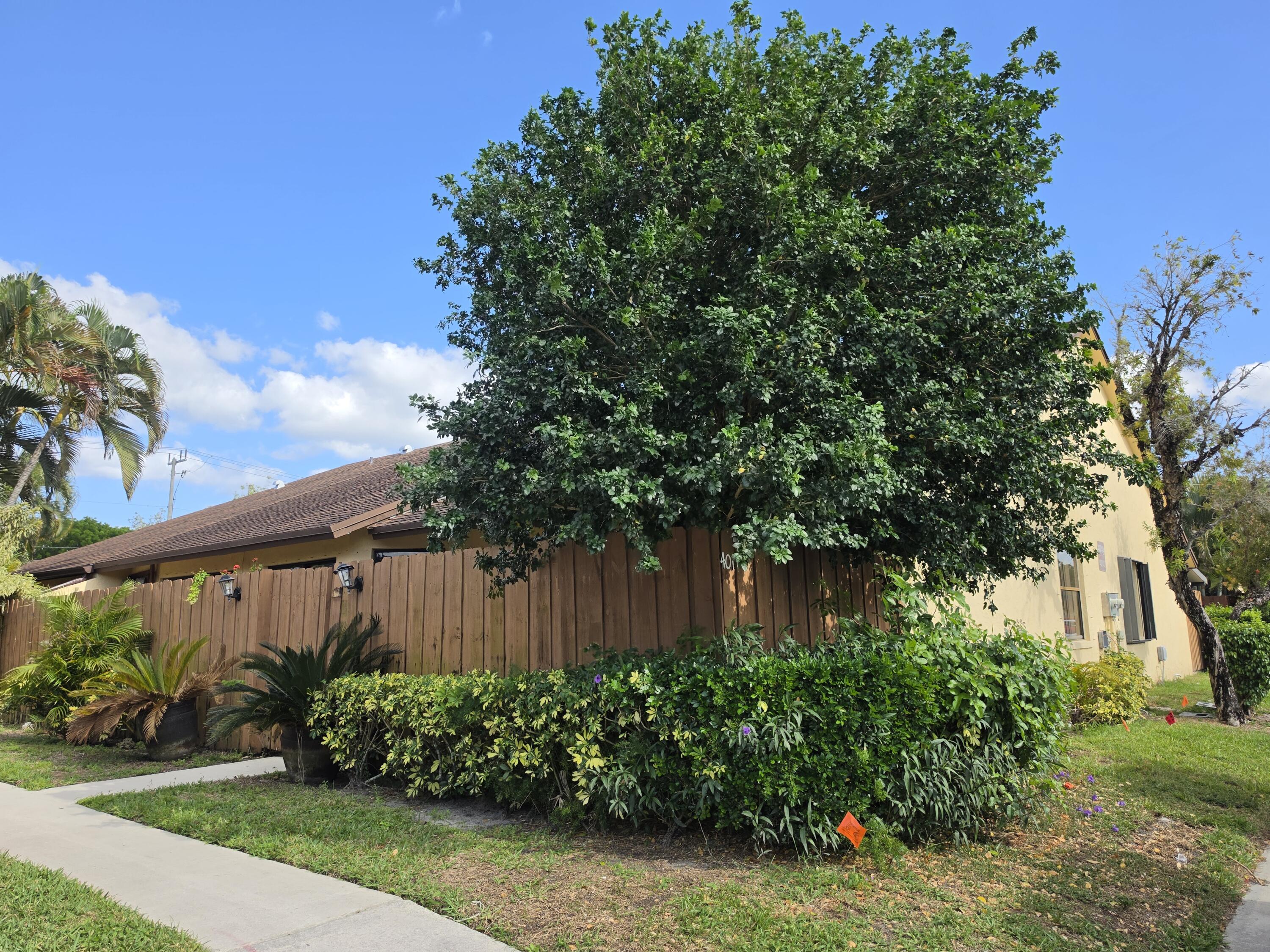 401 Springdale Circle Palm Springs, FL 33461 - Photo 2 of 31 a view of a backyard with plants