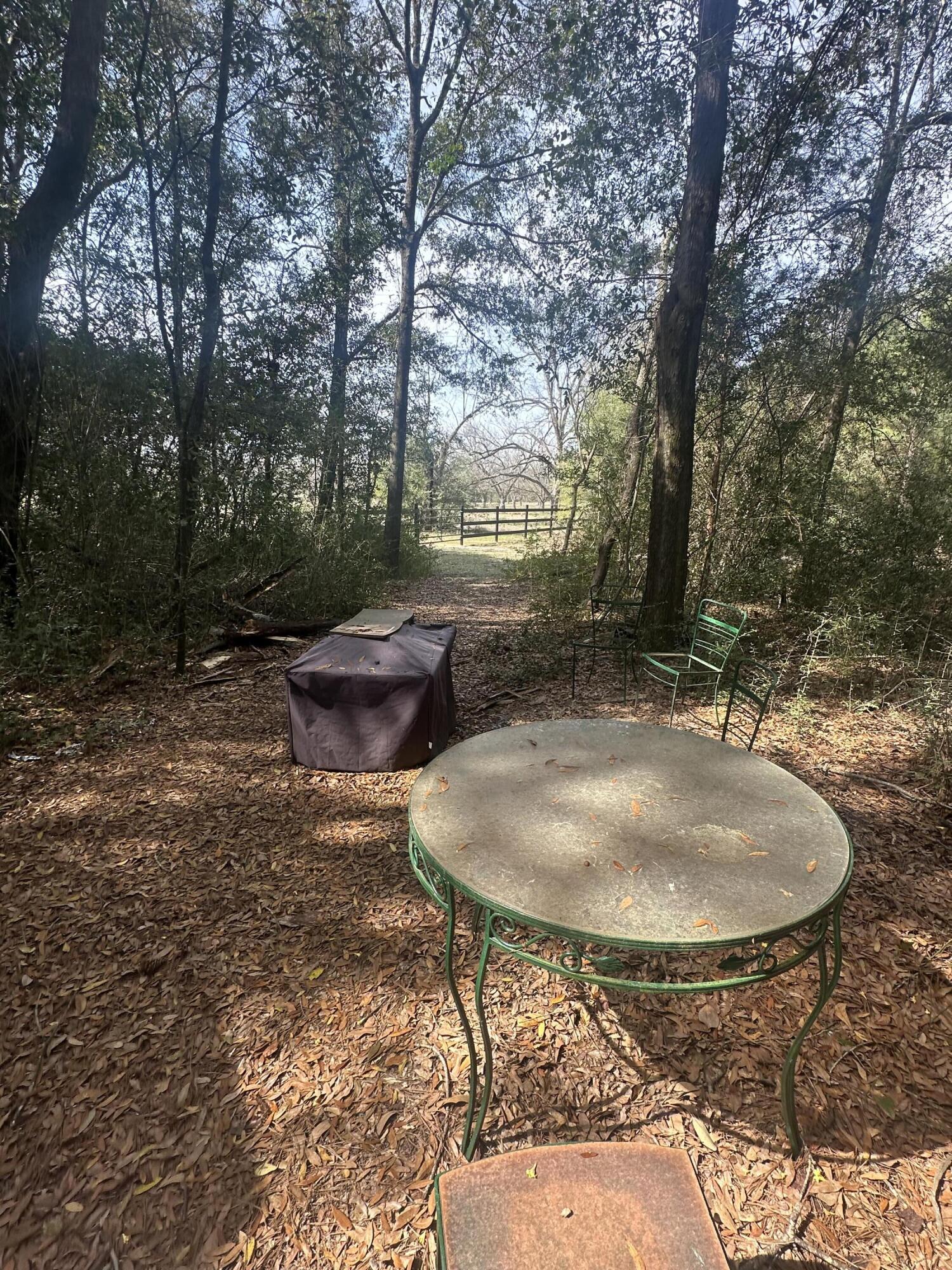 1259 Spanish Moss Road Blackville, SC 29817 - Photo 5 of 12