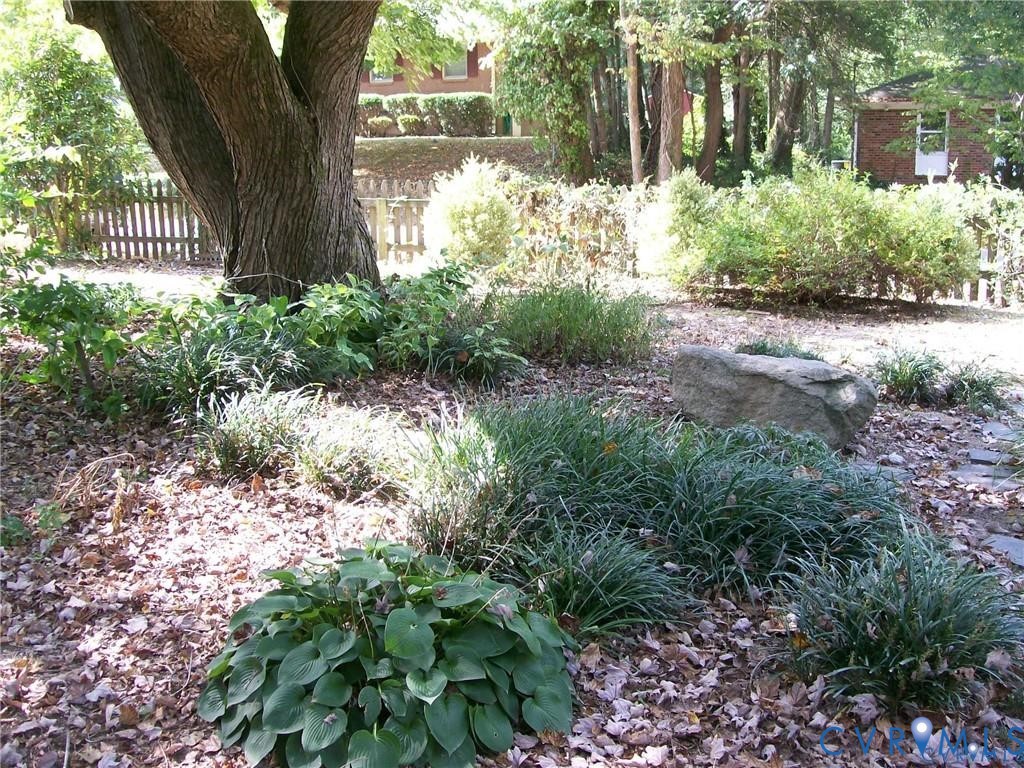 1243 Peck Road North Chesterfield, VA 23235 - Photo 3 of 19 a view of yard with green space