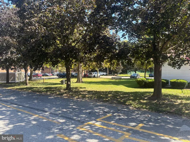 a park with lots of trees and plants