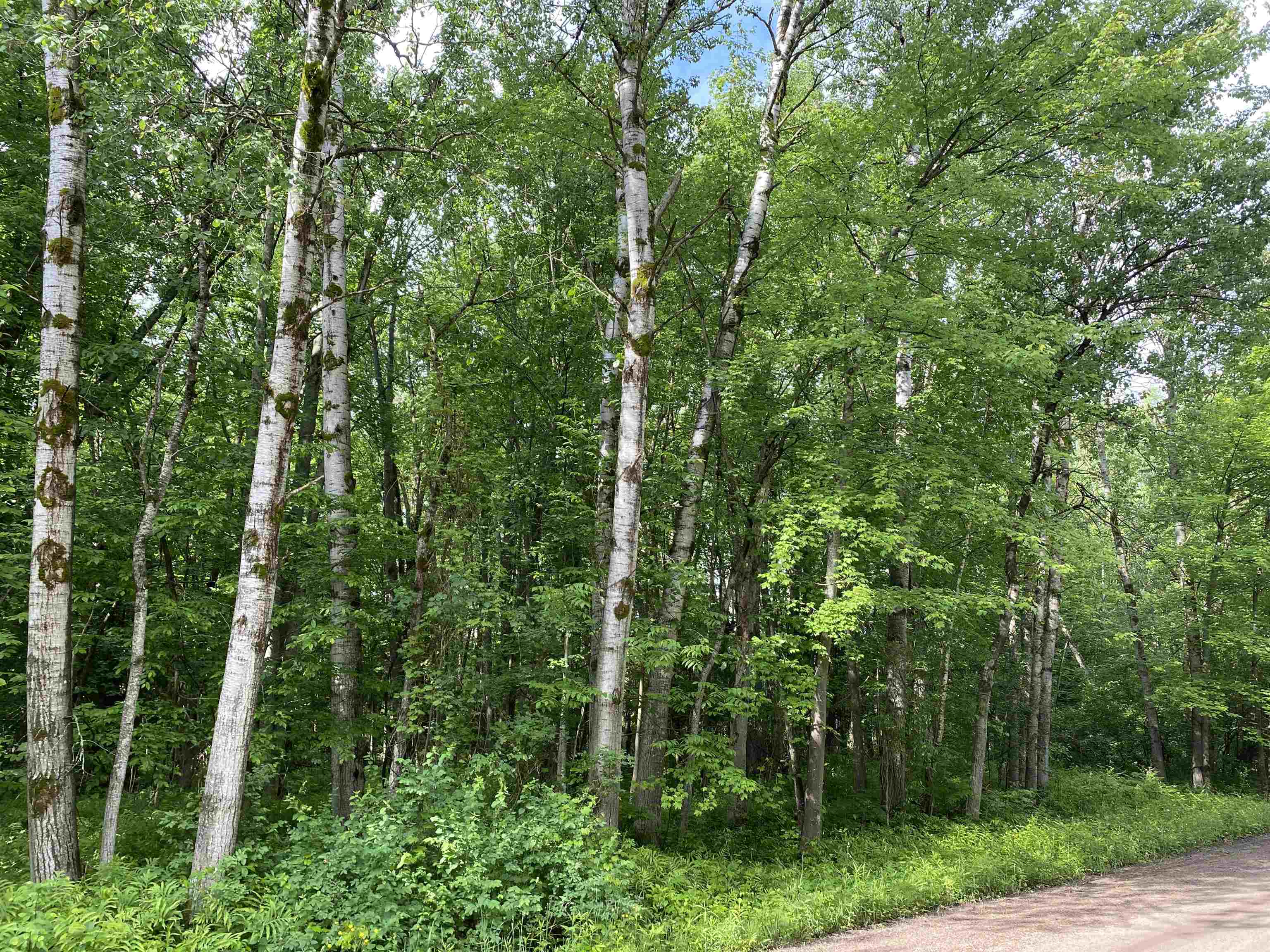 15991 Bentley Road Thompsonville, MI 49683 - Photo 2 of 19