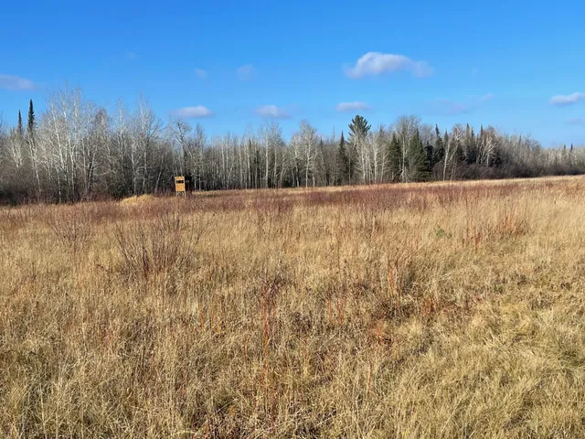 $119,000 | 14730 County Road 25, Floodwood, MN 55736