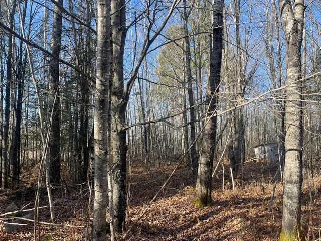 $119,000 | 14730 County Road 25, Floodwood, MN 55736