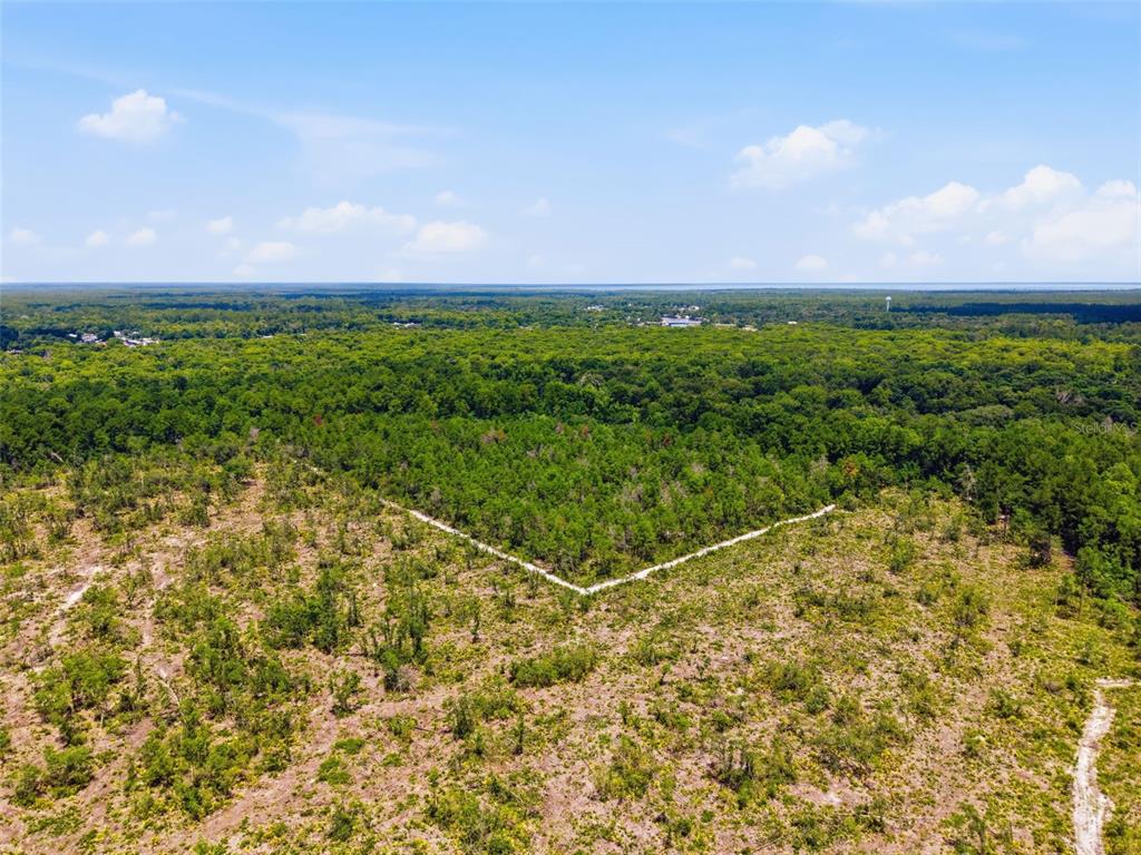 2140 St Johns River Road Astor, FL 32102 - Photo 26 of 36 a view of a field with an ocean