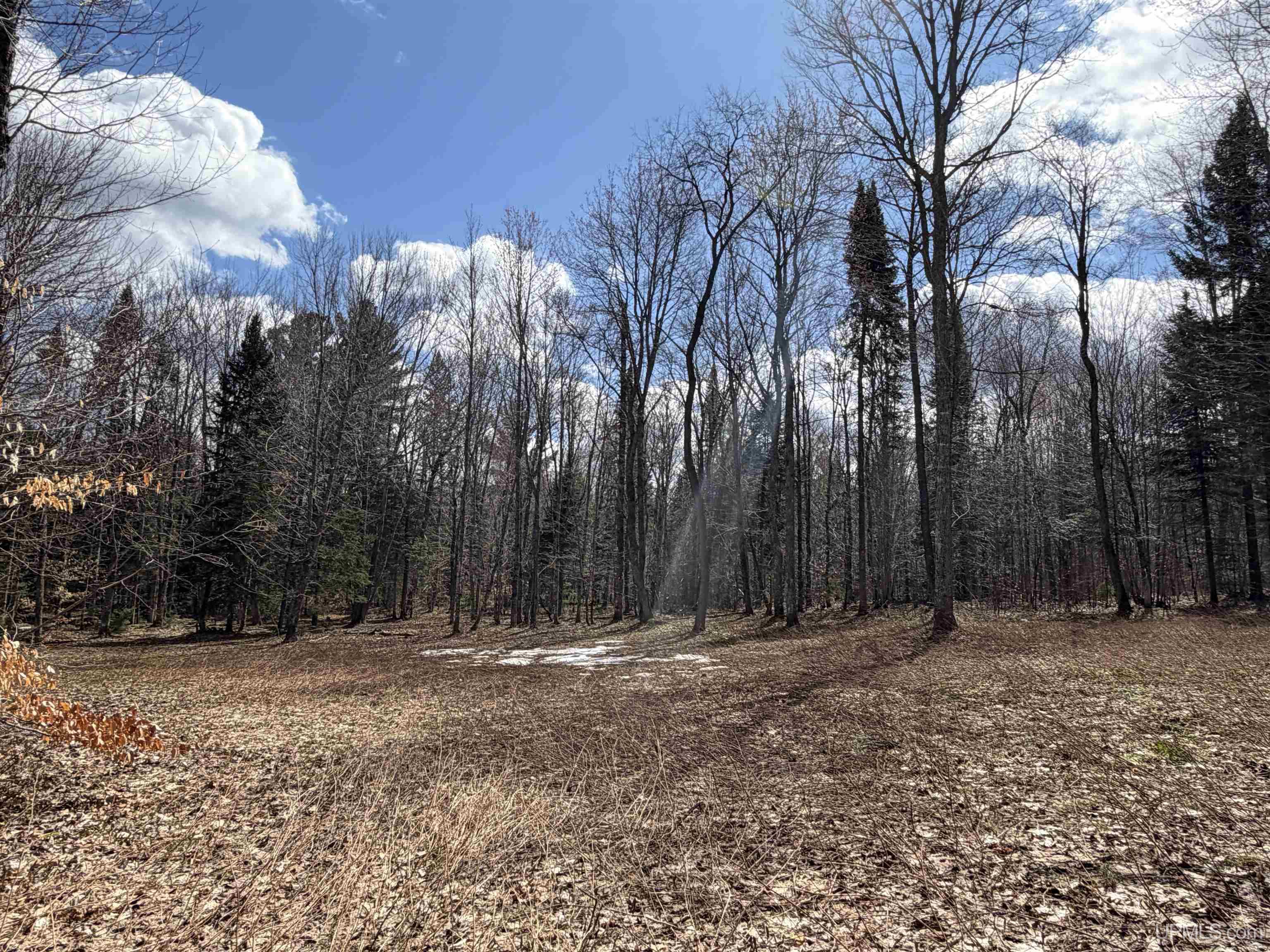 11445 Chesbrough Lake Road Newberry, MI 49868 - Photo 34 of 75