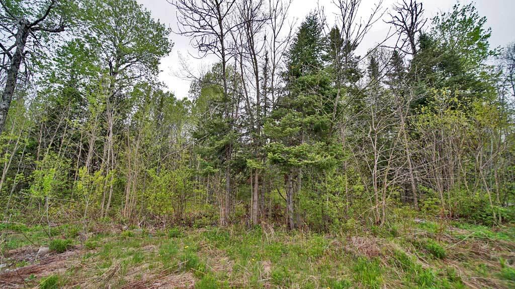 427 Thompson Road Oakfield, ME 04763 - Photo 16 of 41 427-thompson-settlement-2