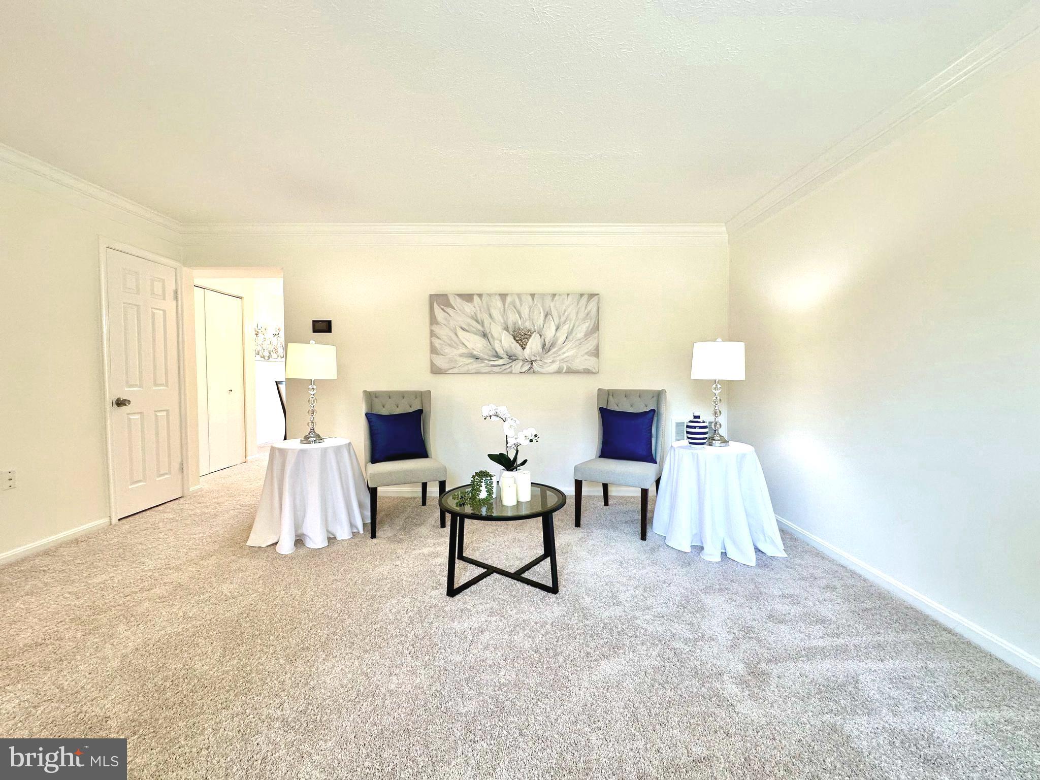 19617 Rhinestone Drive Germantown, MD 20874 - Photo 5 of 30 New Carpet in the living room