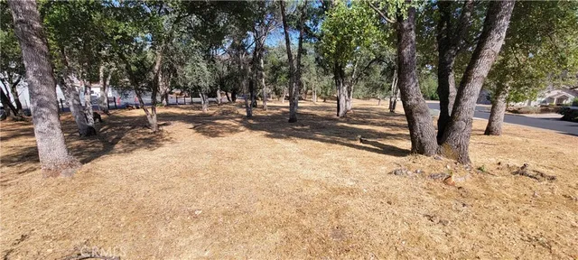 a view of road with trees