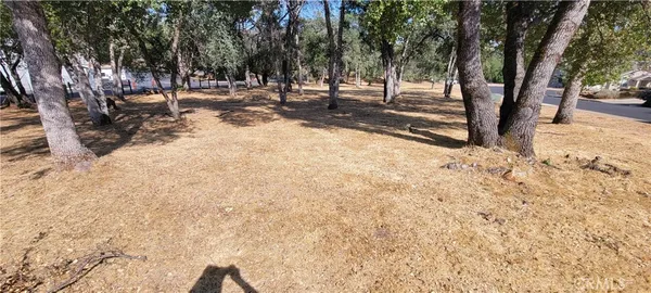 a view of road with trees