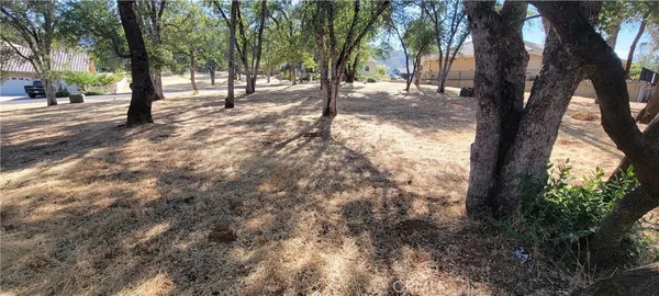 a view of road with trees