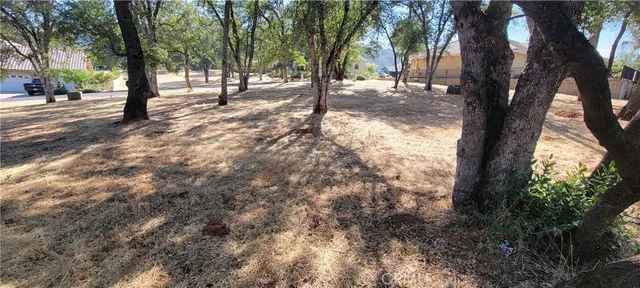 a view of road with trees
