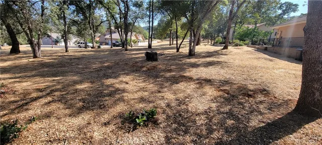 a view of road with trees