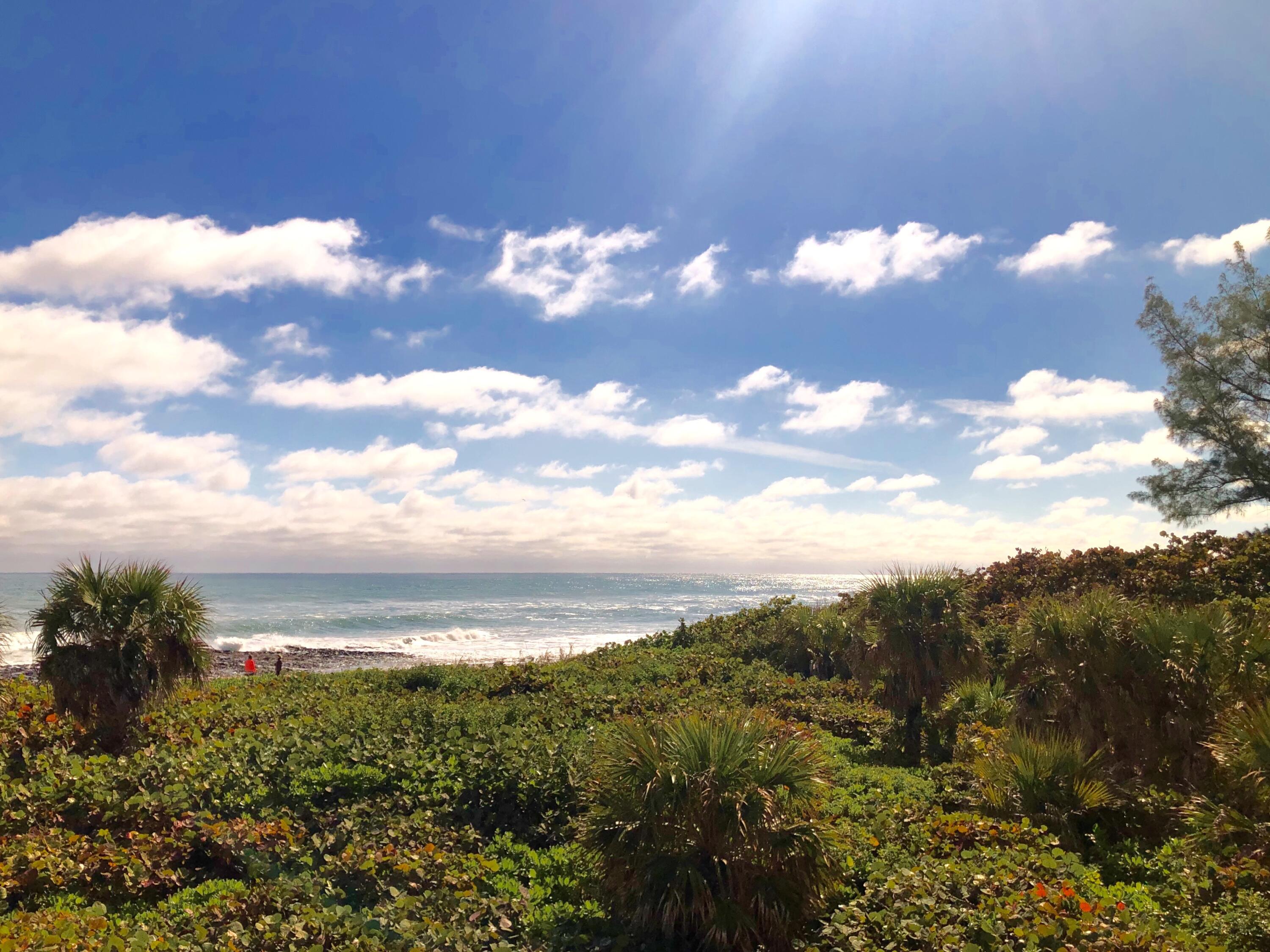 4000 North Ocean Drive, Unit 902 Singer Island, FL 33404 - Photo 42 of 53 LUSH DUNE LINES AROUND BEACH WALKOVER