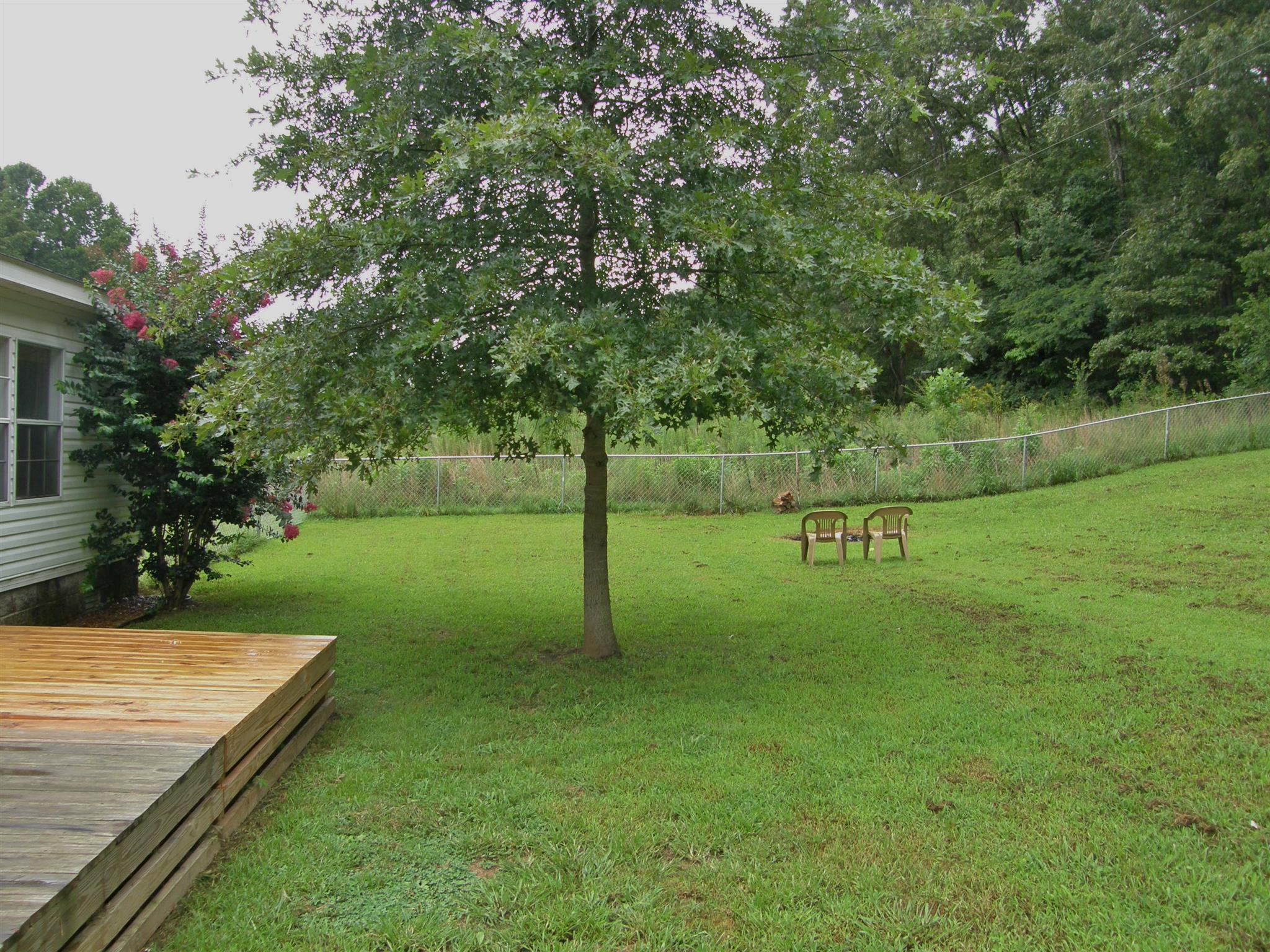 229 Longbranch Road Hohenwald, TN 38462 - Photo 4 of 25 Gallery Image 4