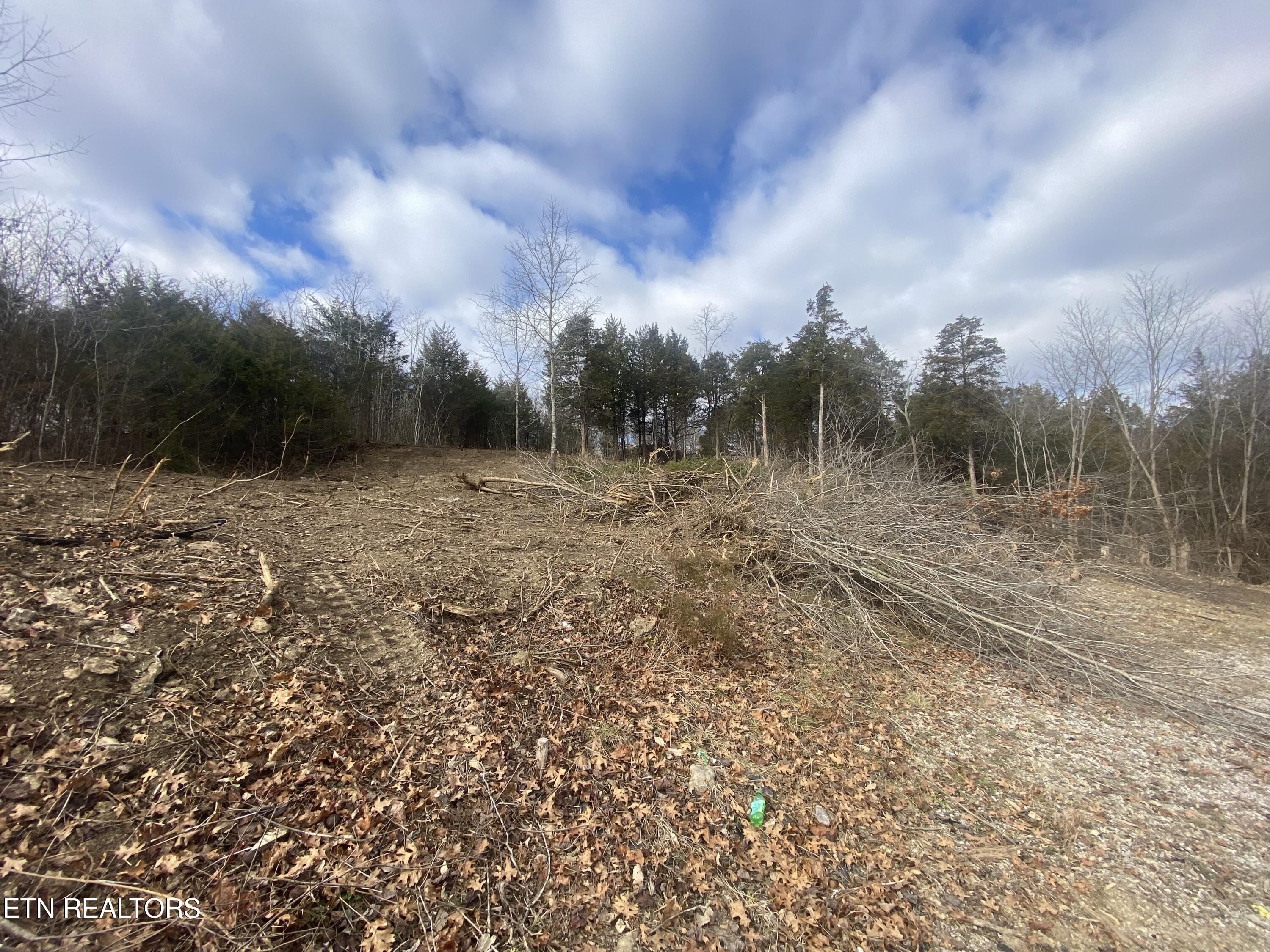 Tazewell Pike Luttrell, TN 37779 - Photo 5 of 8 IMG_1745
