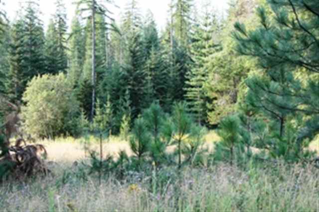 Xxx Grote Road, Unit 1 Deer Park, WA 99006 - Photo 1 of 6 Gallery Image 1