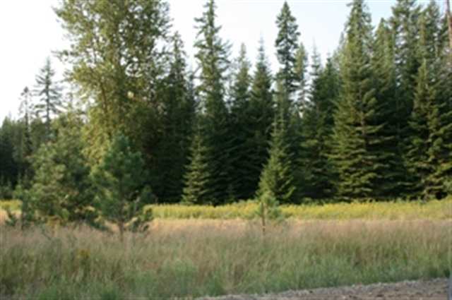 Xxx Grote Road, Unit 1 Deer Park, WA 99006 - Photo 3 of 6 Gallery Image 3