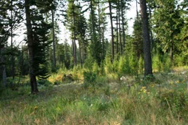 Xxx Grote Road, Unit 1 Deer Park, WA 99006 - Photo 5 of 6 Gallery Image 5