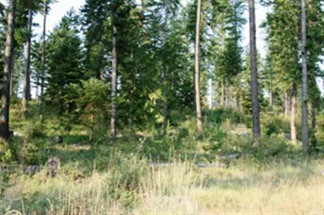 Xxx Grote Road, Unit 1 Deer Park, WA 99006 - Photo 6 of 6 Gallery Image 6