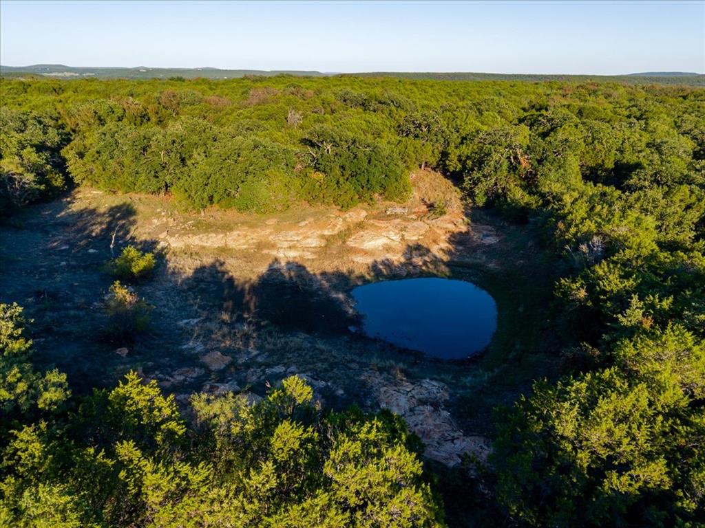 1674 Ming Bend Road Graham, TX 76450 - Photo 24 of 40 Stock tank surrounded by dense, mature trees and varied vegetation