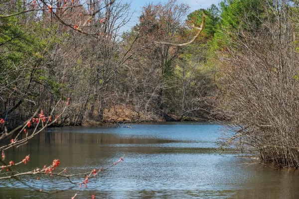 $743,700 | 0 Rocky River Road, Spencer, TN 38585