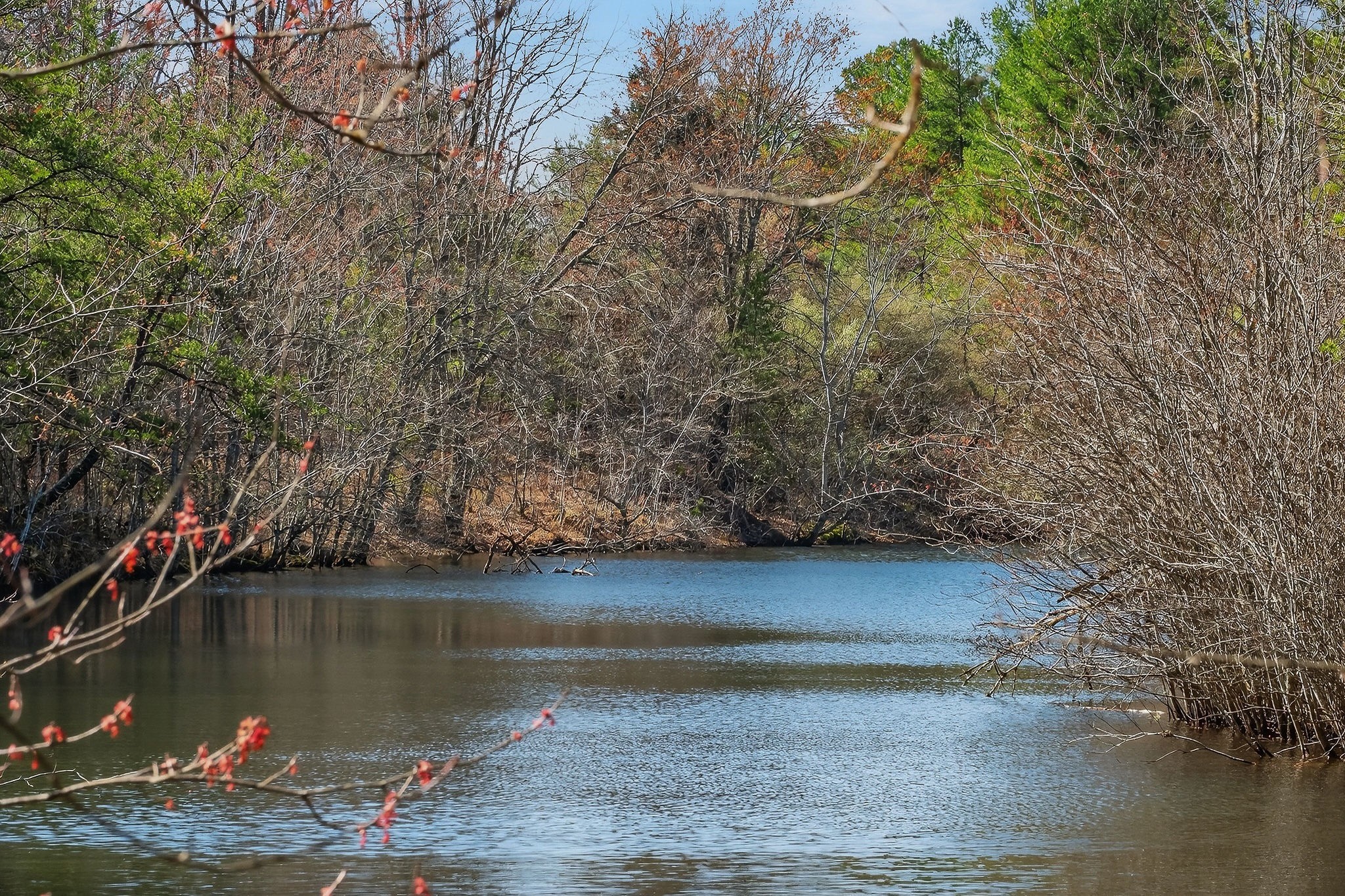 0 Rocky River Road Spencer, TN 38585 - Photo 1 of 60