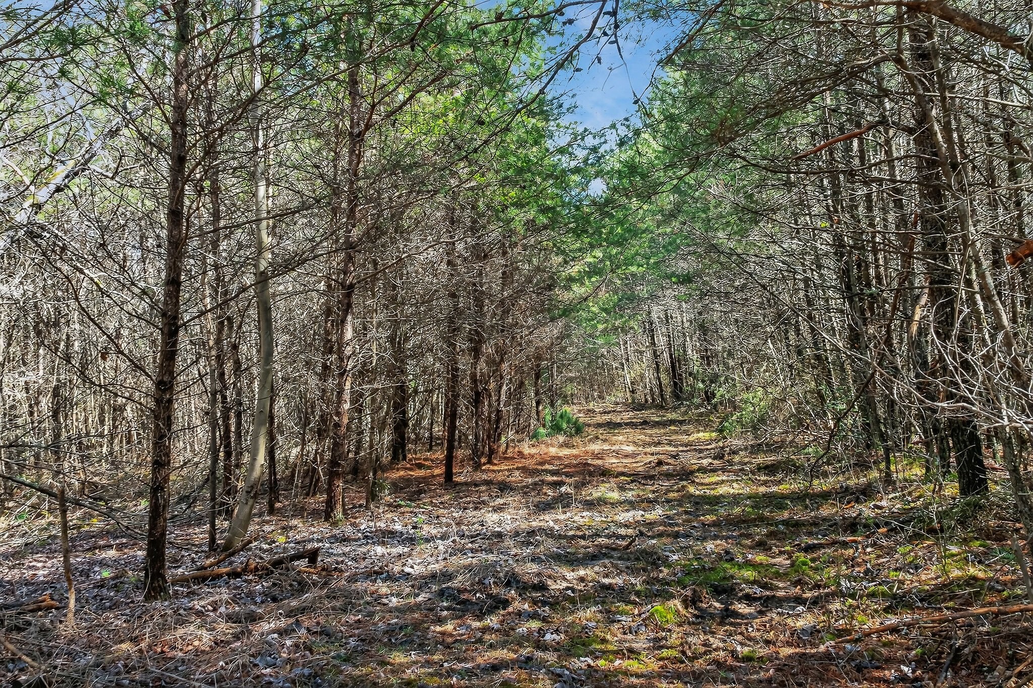 0 Rocky River Road Spencer, TN 38585 - Photo 11 of 60