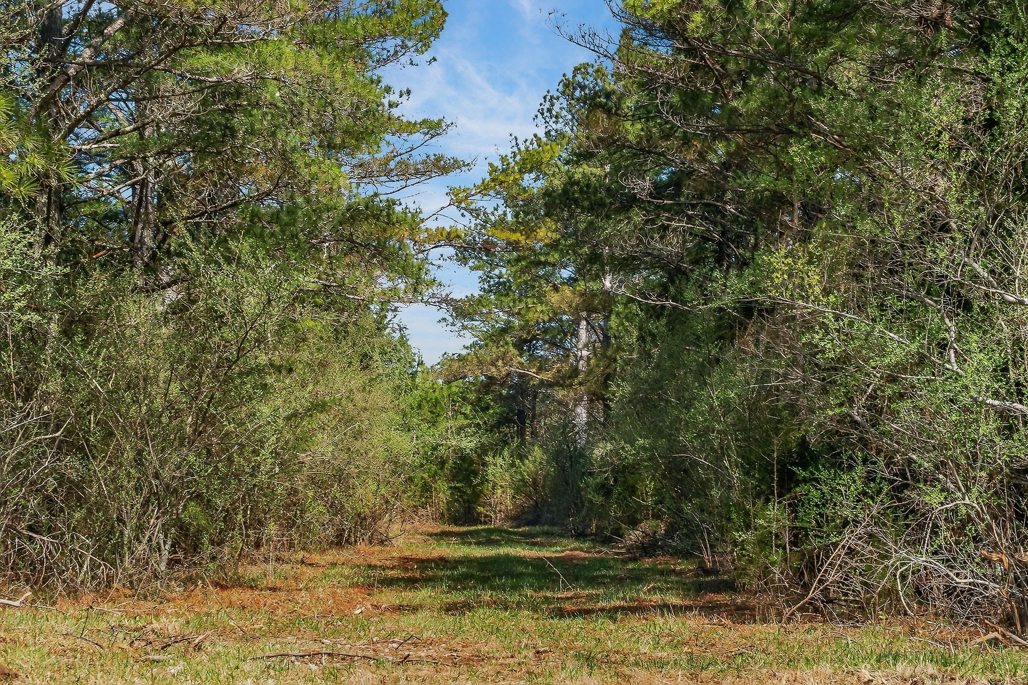 0 Rocky River Road Spencer, TN 38585 - Photo 12 of 60