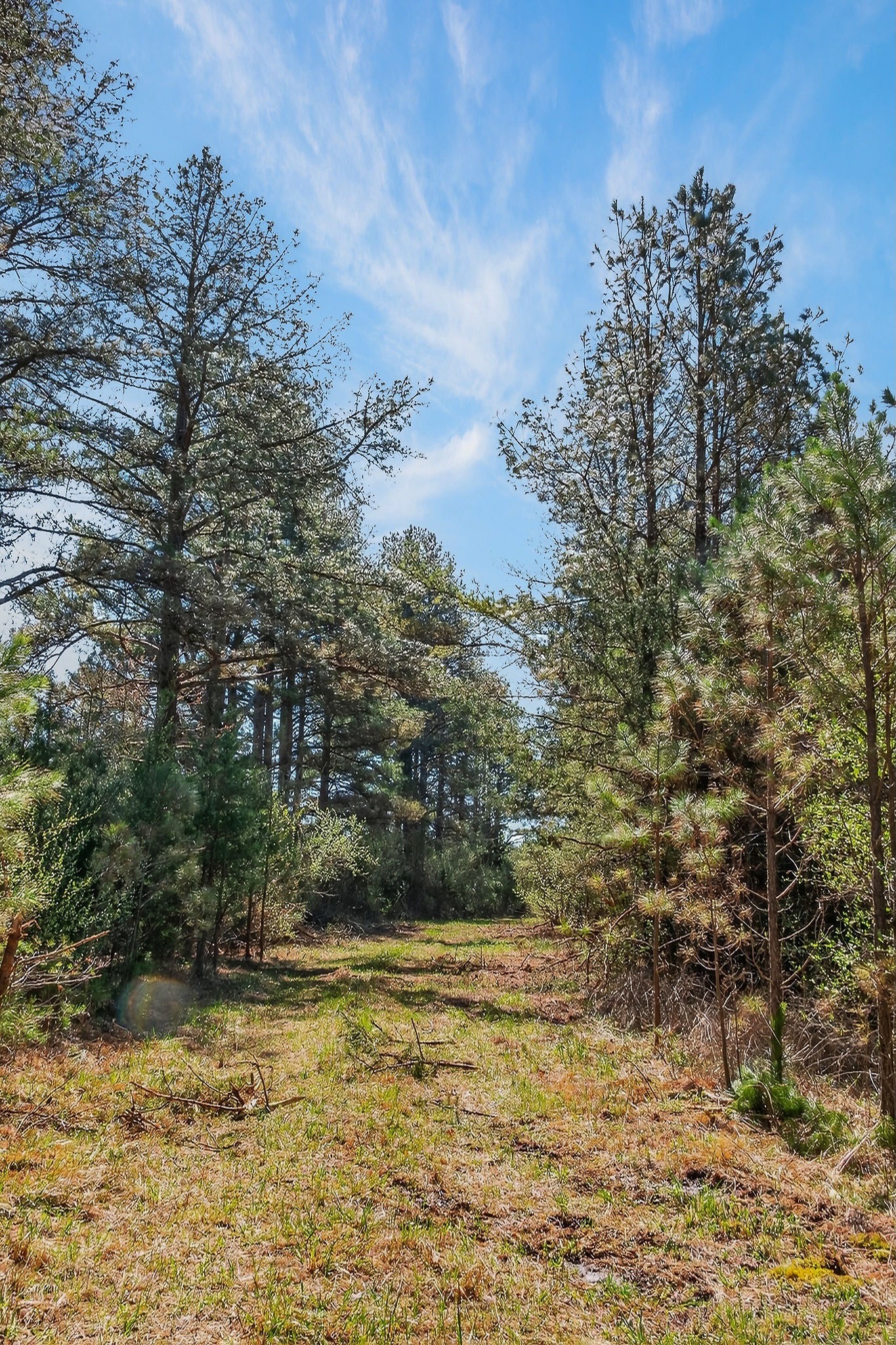 0 Rocky River Road Spencer, TN 38585 - Photo 15 of 60