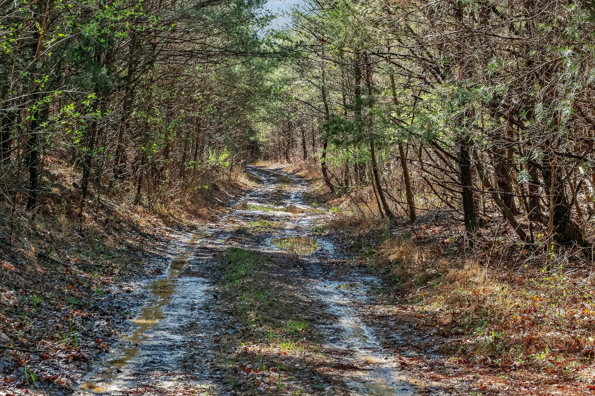 0 Rocky River Road Spencer, TN 38585 - Photo 19 of 60