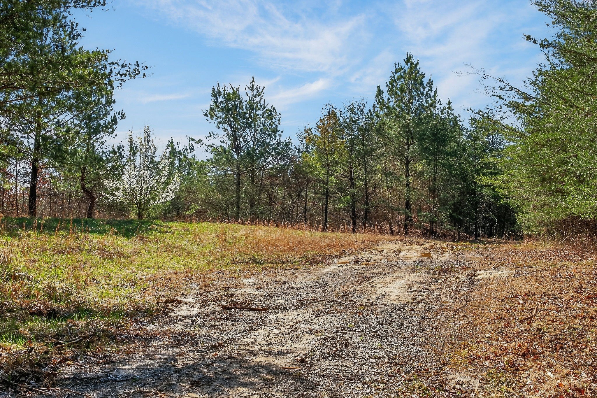 0 Rocky River Road Spencer, TN 38585 - Photo 20 of 60