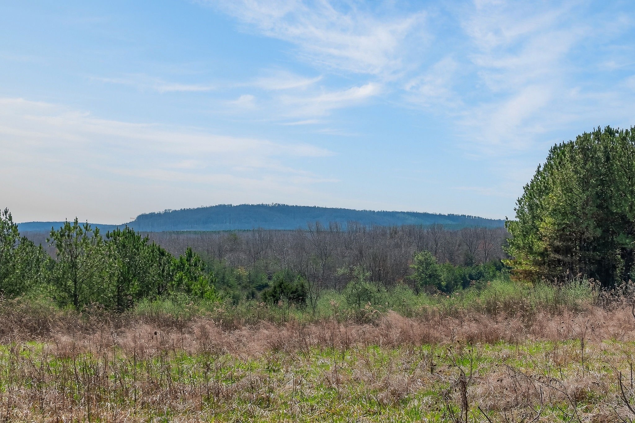 0 Rocky River Road Spencer, TN 38585 - Photo 2 of 60