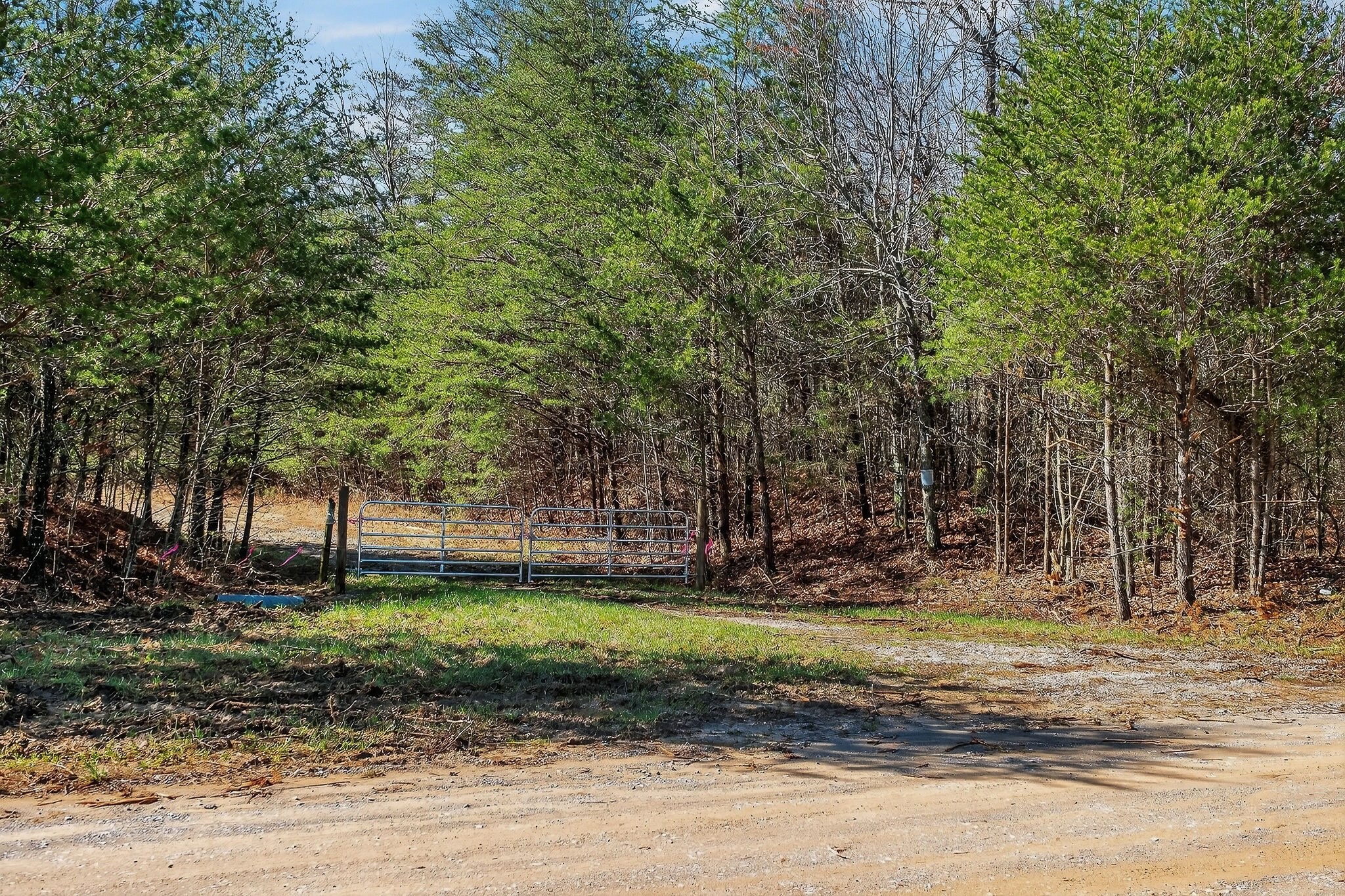 0 Rocky River Road Spencer, TN 38585 - Photo 21 of 60
